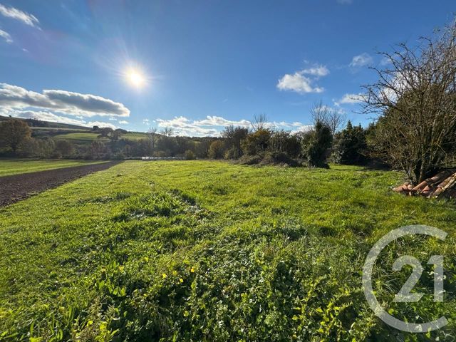 maison à vendre - 6 pièces - 146.24 m2 - MOULARES - 81 - MIDI-PYRENEES - Century 21 Cap Immobilier