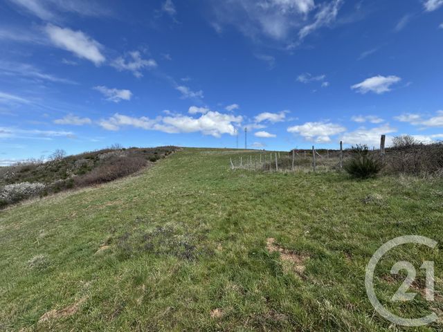 terrain à vendre - 48022.0 m2 - AMBIALET - 81 - MIDI-PYRENEES - Century 21 Cap Immobilier