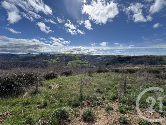 terrain à vendre - 48022.0 m2 - AMBIALET - 81 - MIDI-PYRENEES - Century 21 Cap Immobilier