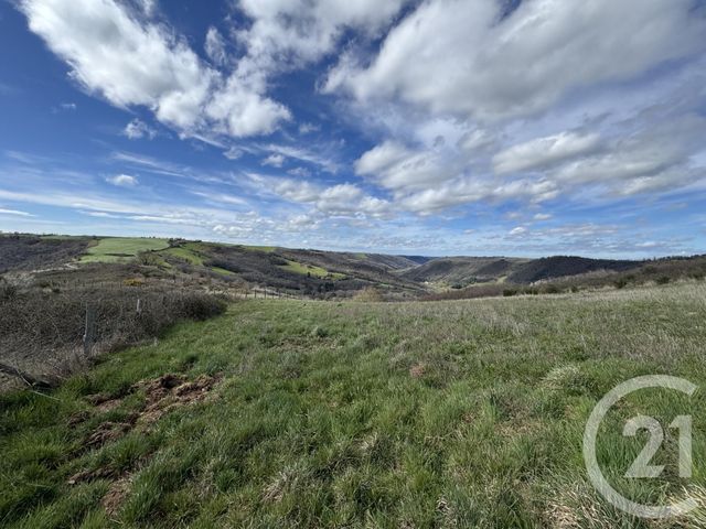 terrain à vendre - 48022.0 m2 - AMBIALET - 81 - MIDI-PYRENEES - Century 21 Cap Immobilier