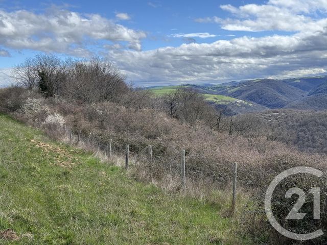 terrain à vendre - 48022.0 m2 - AMBIALET - 81 - MIDI-PYRENEES - Century 21 Cap Immobilier